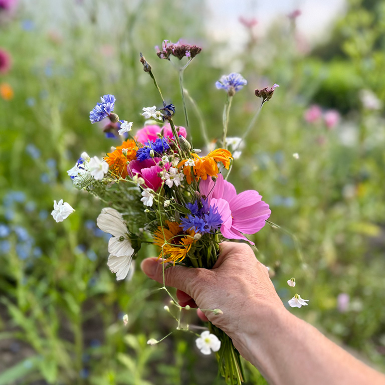 Groep mensen gebruikt een rotsblok om mee te trainen