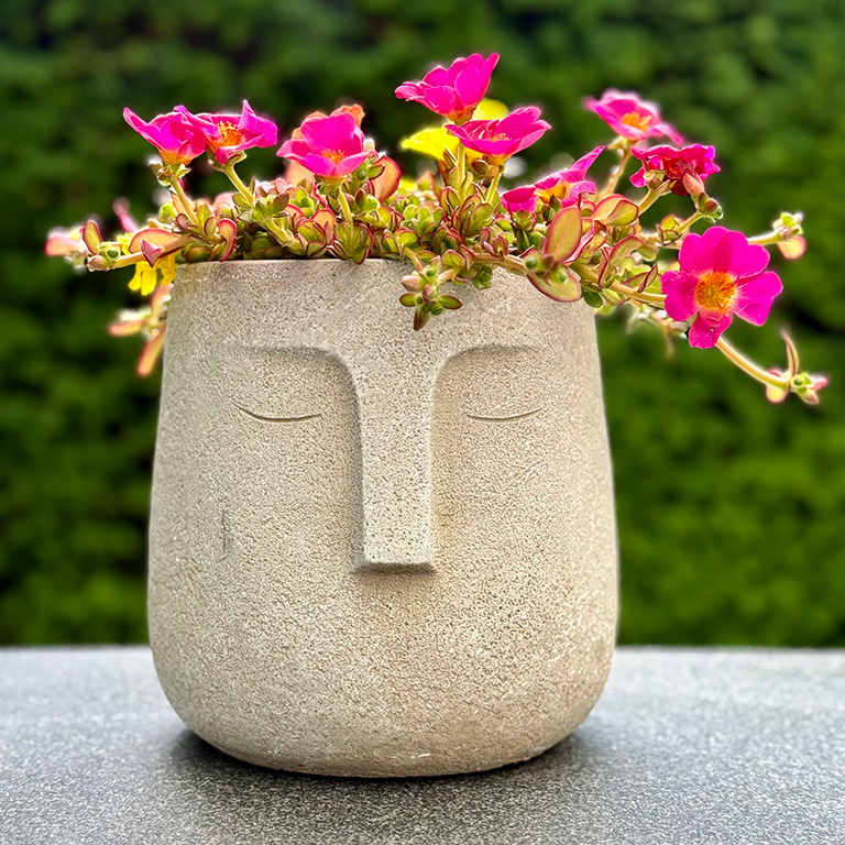 Groep mensen gebruikt een rotsblok om mee te trainen